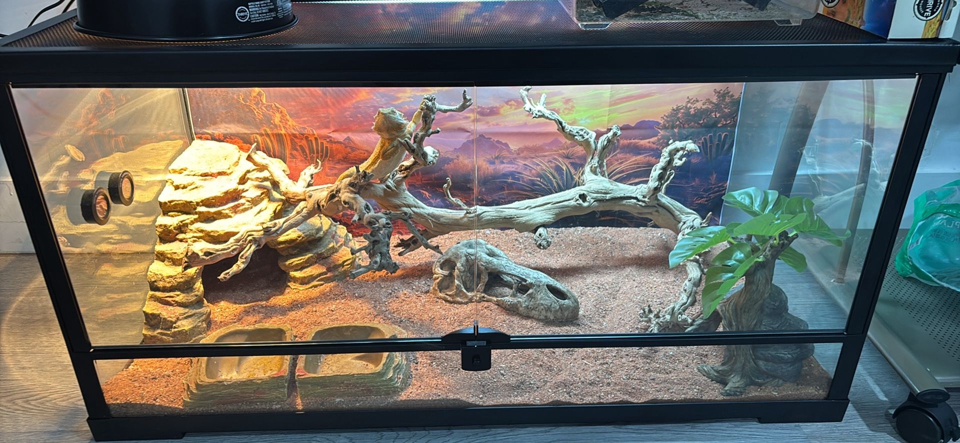 Bearded Dragon Cage And Accessories Feeding Tongs Cricket Dusters Etc.