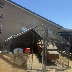 Kennel/Coop