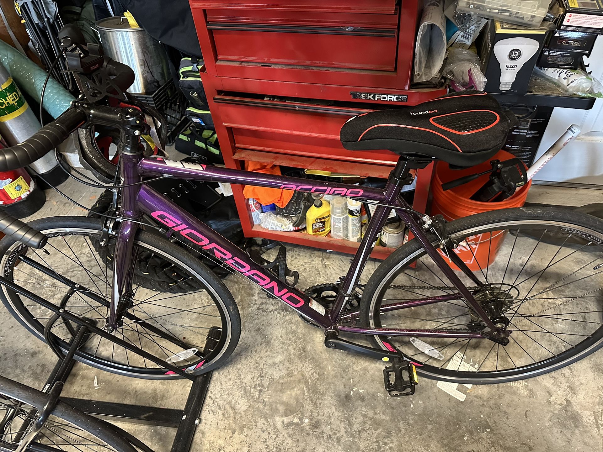 Giordano Accusing Road Bike