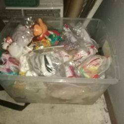 Beanie babies ALL MINT PM