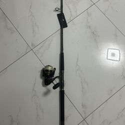 Diawa Bg 4k On A Saltist Rod 