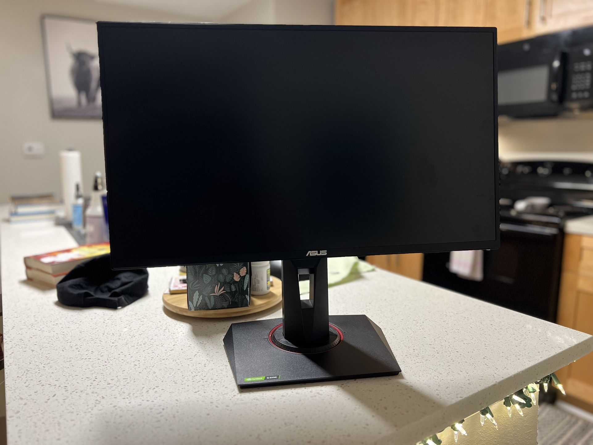 ASUS 24.5” 1080p 165hz Gaming Monitor