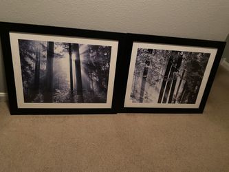 (2) 31 1/2 X 25 1/2 Black And White Picture Frames 