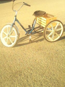 24' Miami Sun Adult Trike