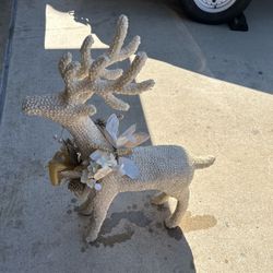 Christmas Deer Made Out Of Shells