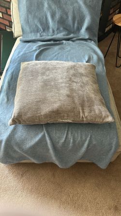 Free Large Grey Pillow