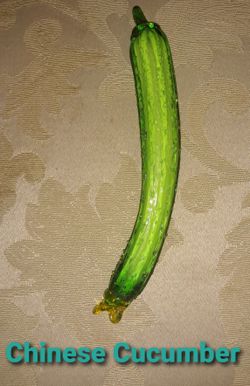 Glass Chinese Cucumber-Vintage-Old School