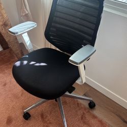 Branch Ergonomic Chair