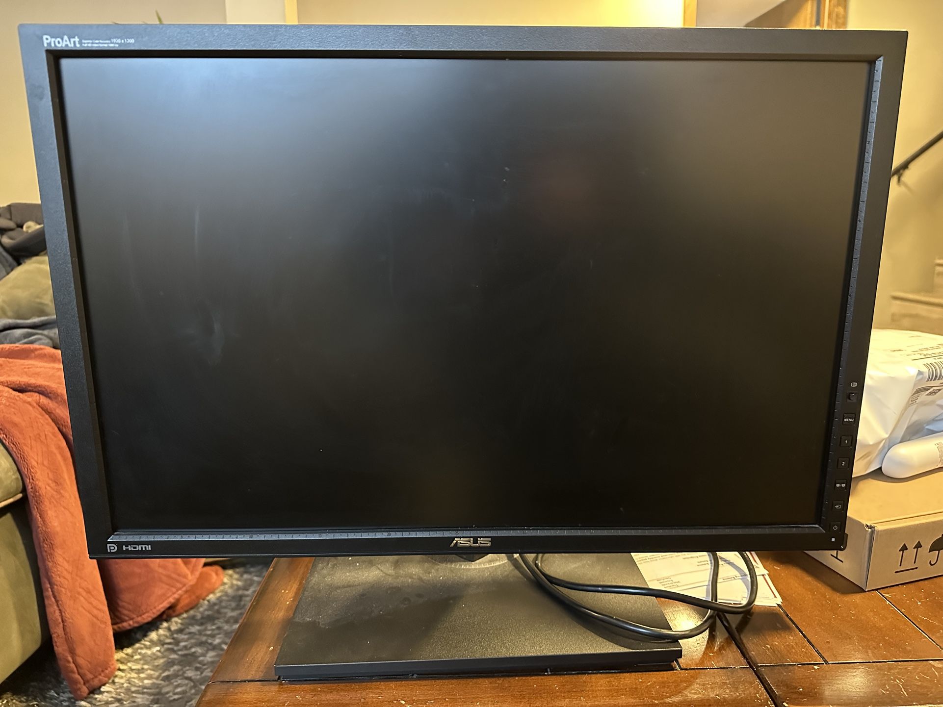 Asus ProArt 24” Monitor