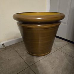 Plant Pot