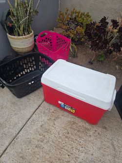 Igloo water cooler