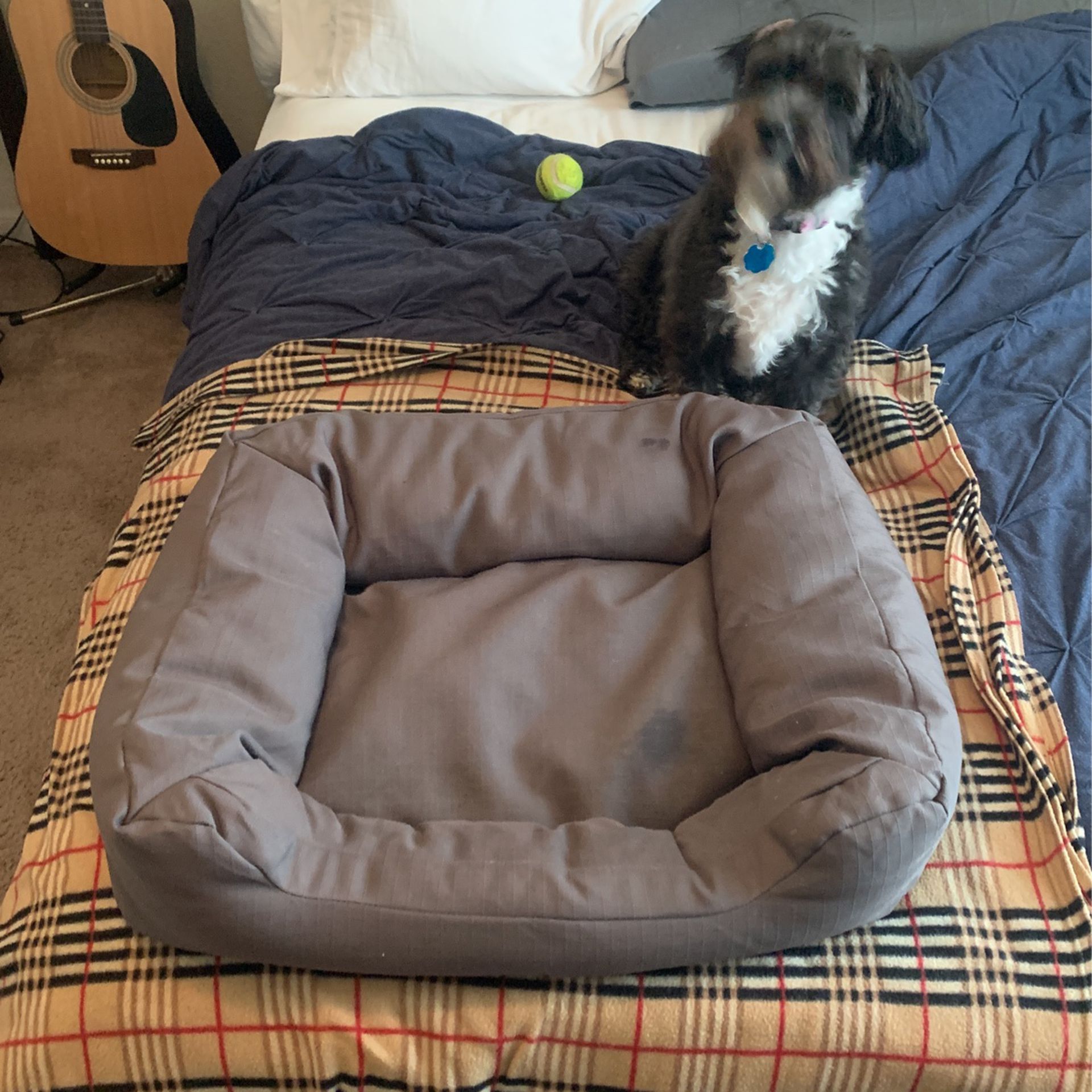Dog Bed