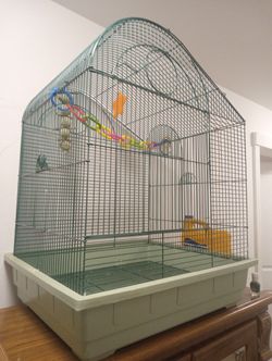 Bird Cage