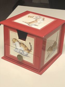 Cat -Themed Accessories Box (with 2 photo lockets)