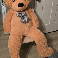 Big Teddy Bear 🧸 