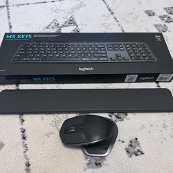 Combo: MX Master 2 + MX Keys with wrist rest