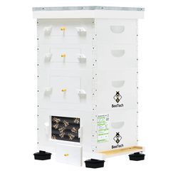 Newest Windows 10 Frame Beehive Hand Painted Includes Unassembled Bee Hive Box with Beehive Frames and Foundations (2 Deep & 2 Medium)