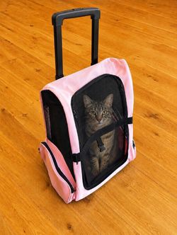 Pink Rolling Pet Carrier