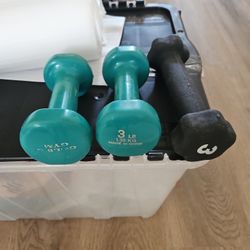 3 Lb Weights