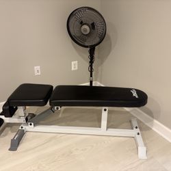 Weight Bench 