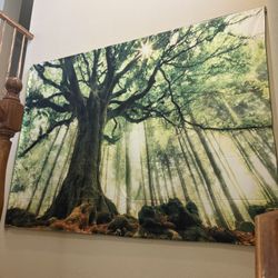 Wall Decor 