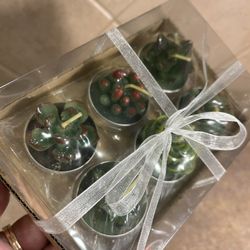 NEW Set of Green Succulent Green Tea Light Candles in Box 