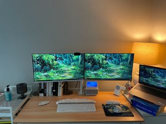 Hp computer monitors (thin/slim) with dual mount