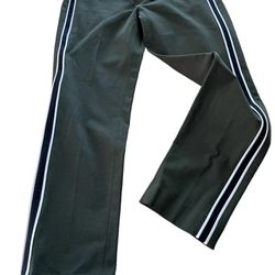 Banana Republic Sloan Green Stripe Pants Size 6 NWT