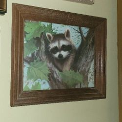 Framed Pictures