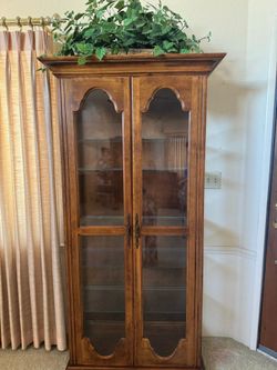 Wood Display Cabinet with Glass Doors