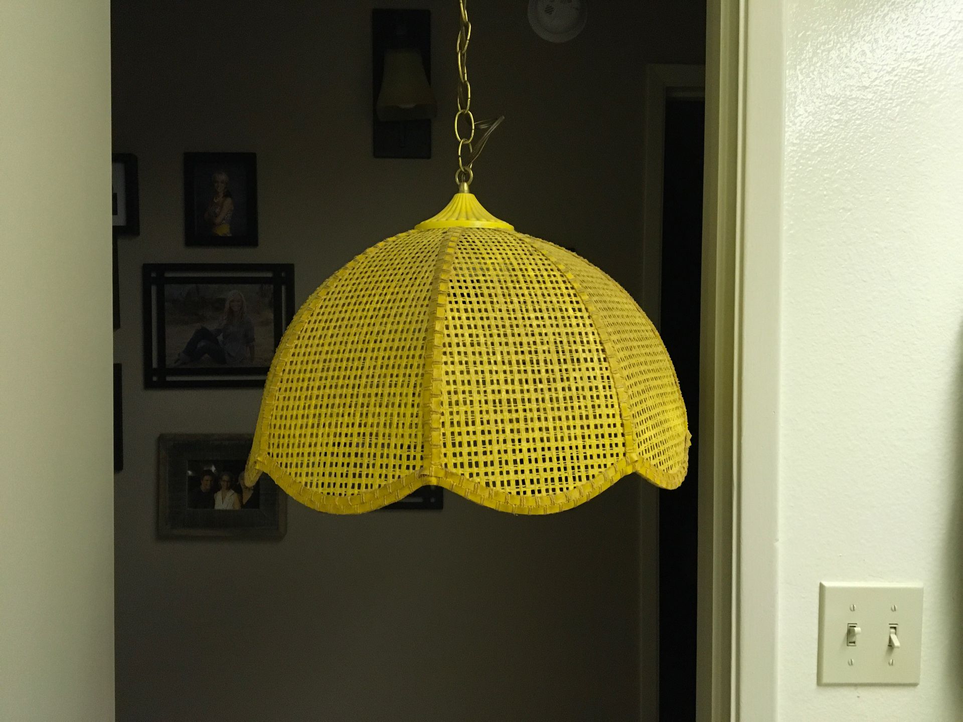 AWESOME HANGING LAMPS - that work