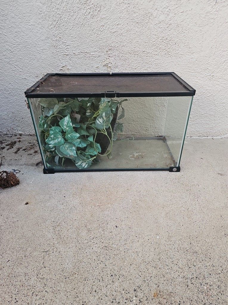 Reptile Tank