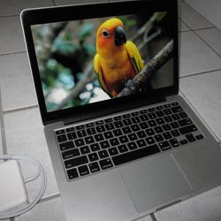 2013 Apple Macbook Pro 13" i5 2.4Ghz 8GB 256G Flash Sequoia - $299 (Schererville)