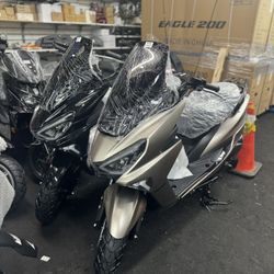 Brand New Eagle 200cc Gas Moped 