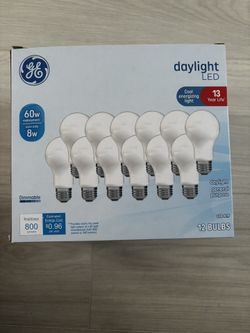 Daylight Led Light Bulbs