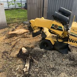 stump grinding 