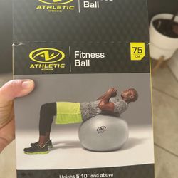 Fitness Ball With pump