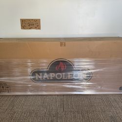 Napoleon Electric Fireplace
