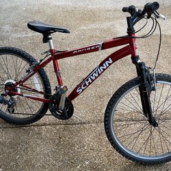 Adult bicycle