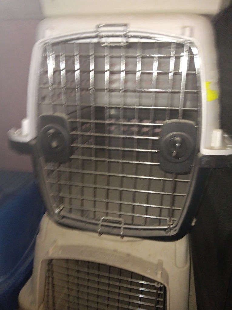 Pet Transport Kennel