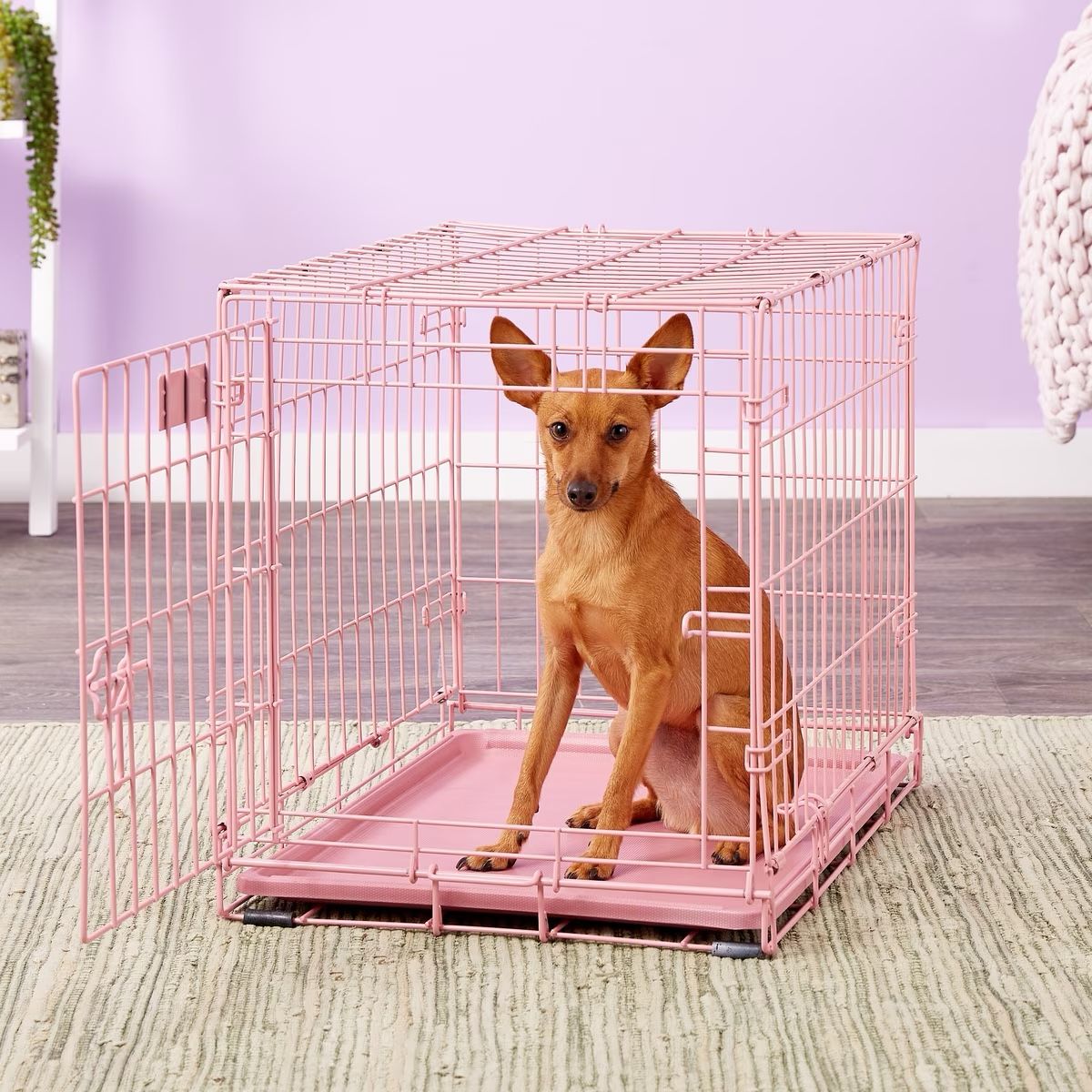 Pink 1 Door Folding Dog Crate 24in