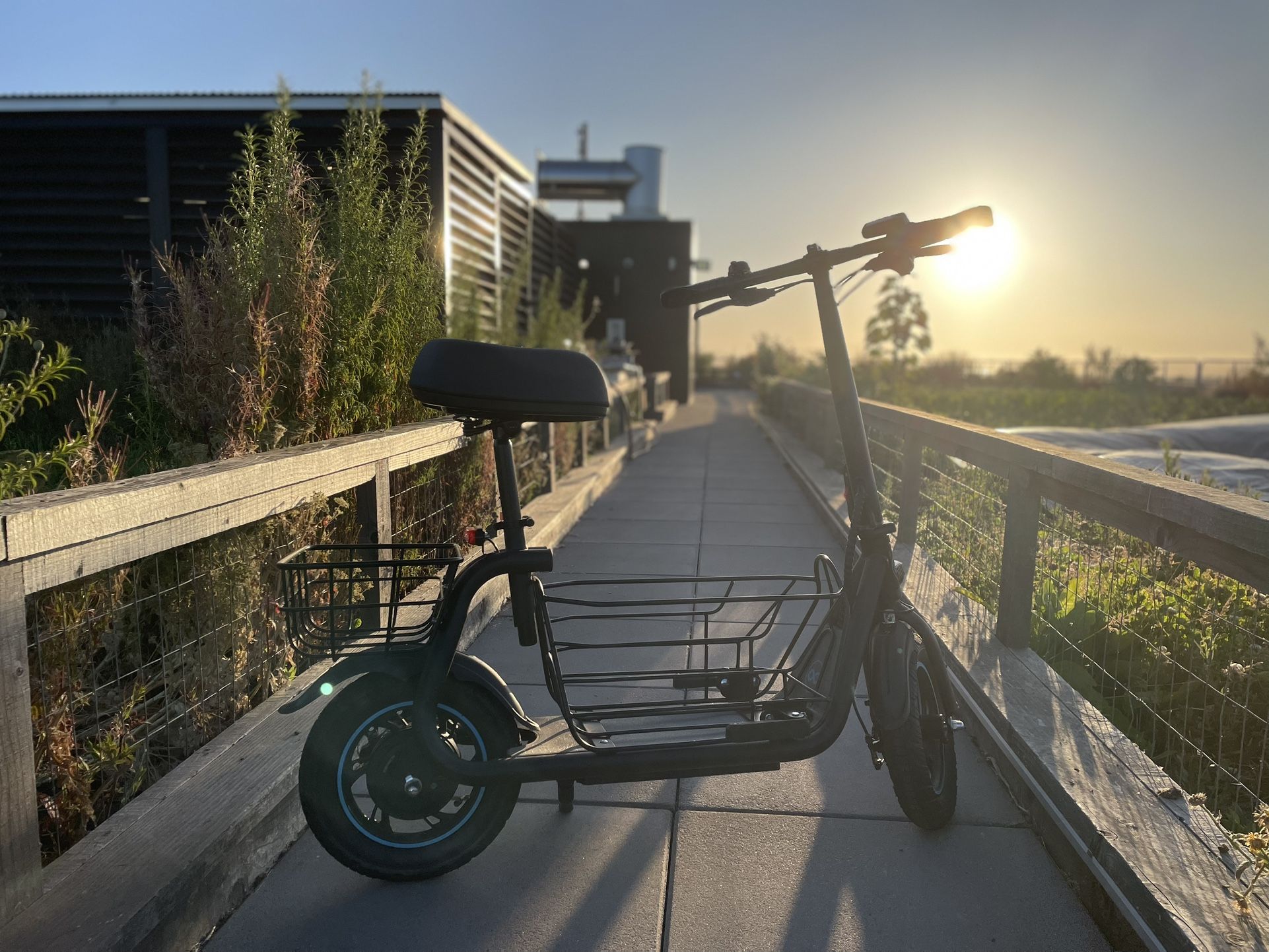 Electric Scooter with Seat, Speed up to 18.6MPH, 20-Mile Range, Storage for Pet & Cargo