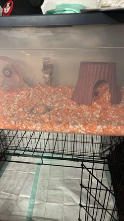 Hamster cage