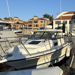 Bayliner Trophy Boat  Plus Trailer