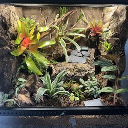 Terrarium 18x18x18