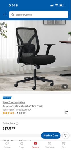 True Innovations Mesh Office Chair