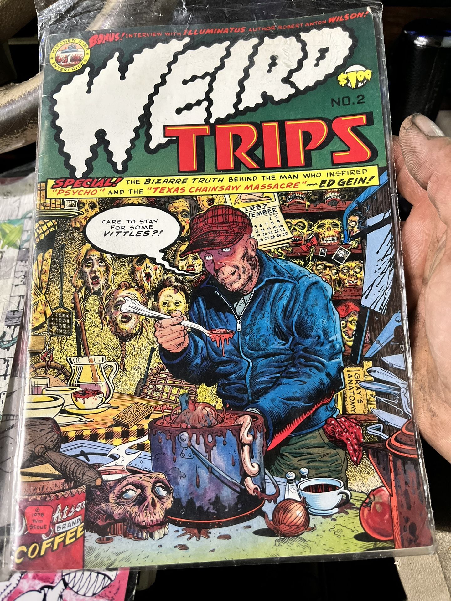 Word trips Ed Gein Comic