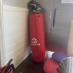 Punching bag & Gloves 