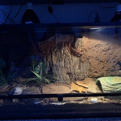 Custom Snake Tank