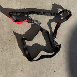 Dog Waisted Leash
